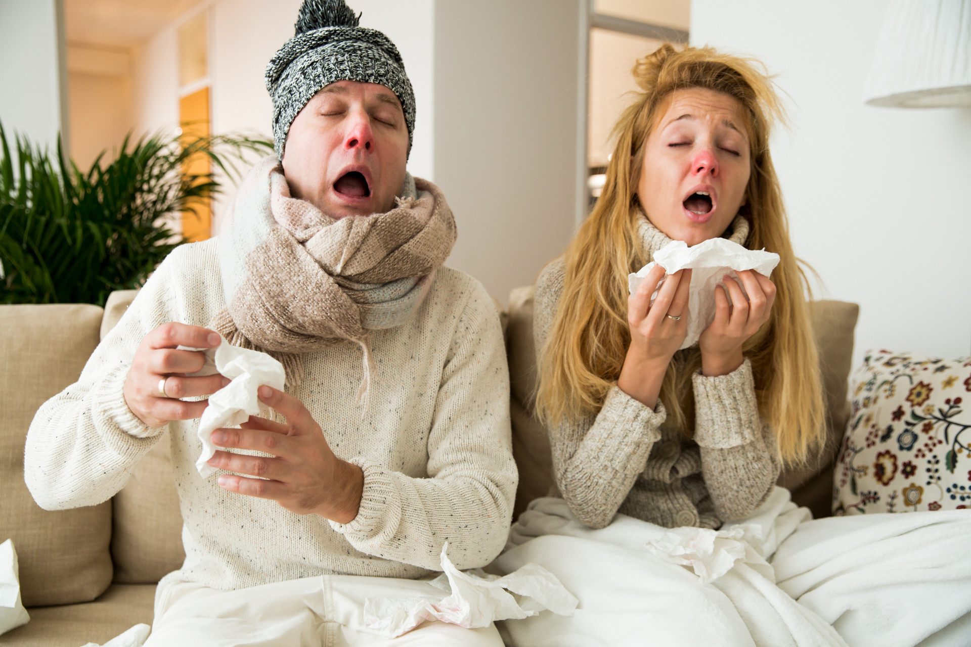 Aromatherapie bei Erkältungsbeschwerden & das Wundermittel zur Stärkung des Immunsystems