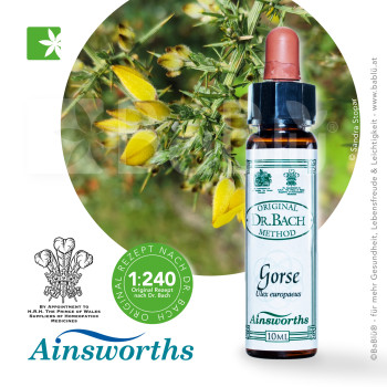 BaBlü® Gorse Bachblütenessenz Ainsworths