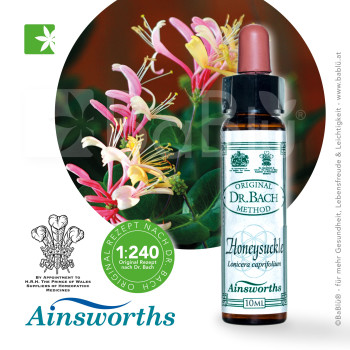 BaBlü® Honeysuckle Bachblütenessenz Ainsworths