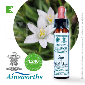 BaBlü® Star of Bethlehem Bachblütenessenz Ainsworths