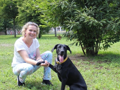 Bachblüten für Tiere | Astrid Schleicher