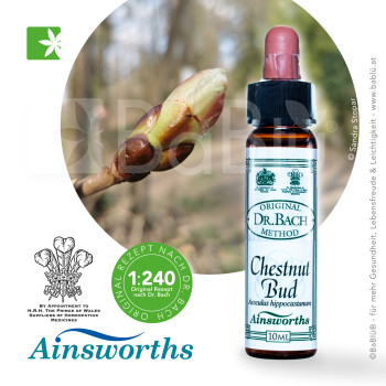 BaBlü® Chestnut Bud Bachblütenessenz Ainsworths