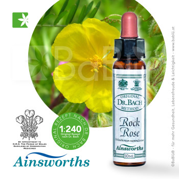 BaBlü® Rock Rose Bachblütenessenz Ainsworths