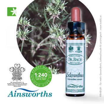 BaBlü® Scleranthus Bachblütenessenz Ainsworths