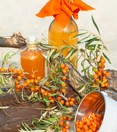 Sanddorn, Hippophae rhamnoides, gesunde Sanddornprodukte - Sanddornöl