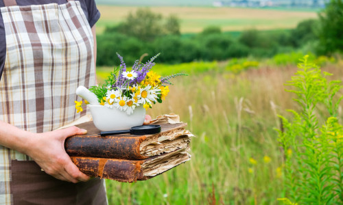 Frau hält Bücher, einen Mörser und eine Lupe in den Händen. Kräutersammler sammelt Heilpflanzen auf einer Wiese.