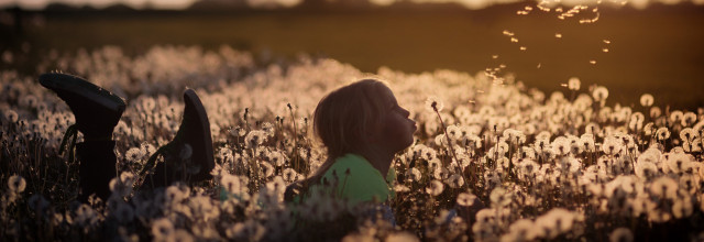 Bachblüten für Kinder der neuen Zeit - von Hochsensibilität bis ADHS