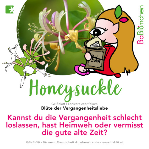 Honeysuckle