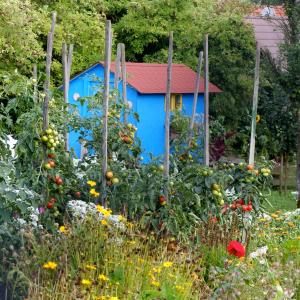 Kräuteranbau im Bauerngarten und Stadtgarten - ein Modul der Ausbildung zur Dipl. Kräuterfachfrau/mann Kräuterpädagogik Ausbildung in Österreich - Fotolia