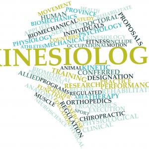 Kinesiologie - Fotolia - Ausbildungen 