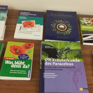 Ausbildung Kräuterpädadogik - Start Dipl. Kräuterfachfrau/mann Heilkräuterpädagogik Basislehrgang in Graz für Kräuterkunde, Heilpflanzen und altes Wissen