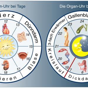 Dipl. TCM Ernährungsberater/in - AdobeStock Henrie