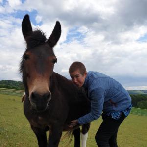 Pferd Lilly mit Ellen - Akupressur lernen