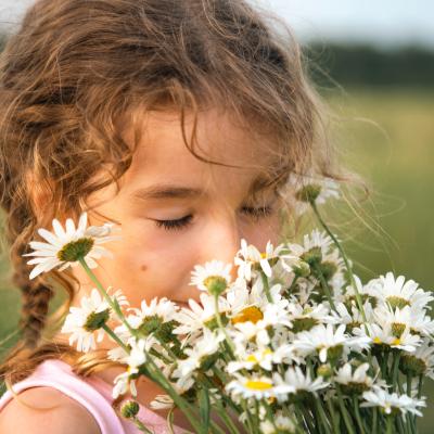 Dipl. TEM-Kräuterexperte/in für Kinder - ONLINE