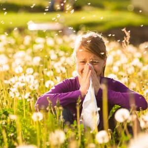 AdobeStock_Kzenon- natürliche Heilmittel, Kräuter und Hausmittel für Kinder aus der TEM bei Allergien - Online Ausbildung